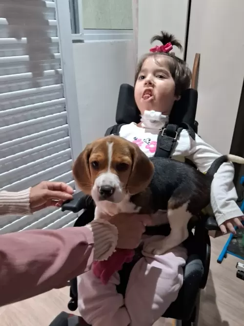 Família RM Filhotes