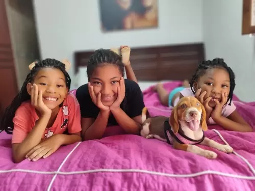 Família RM Filhotes