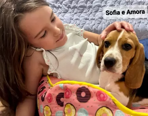 Sofia ×Amora